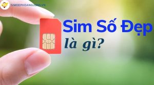 Sim số đẹp là gì